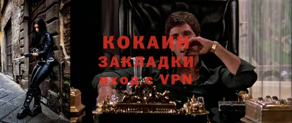 твердый Алзамай